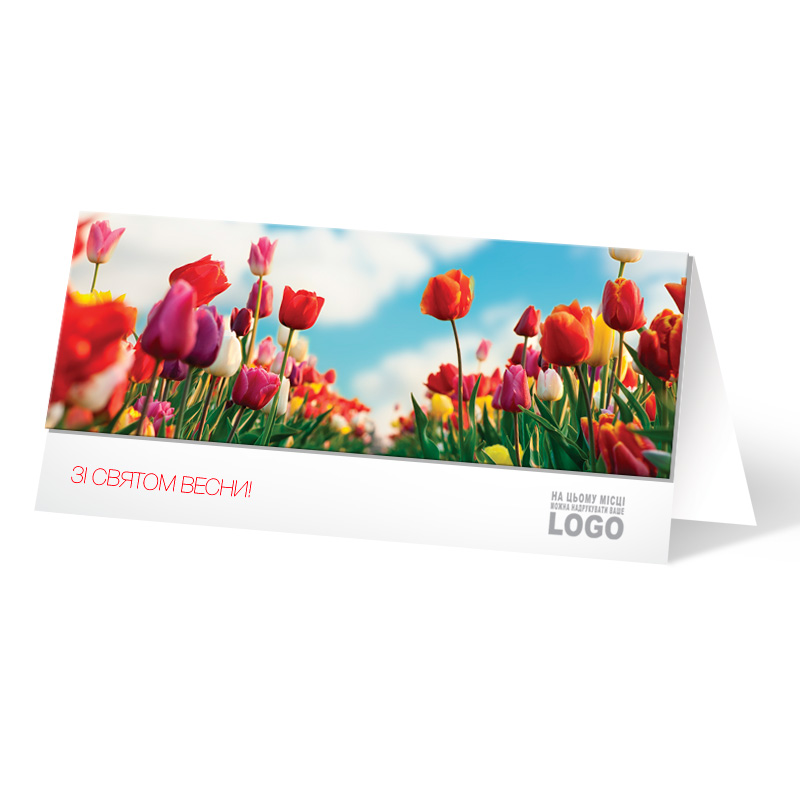 фото номер 1 L2485, Новинки direccion.lastivka.ua
